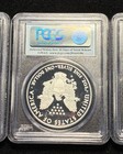 2010-w Proof American Silver Eagle  1 Pcgs Pr70 Dcam Deep Cameo 1oz  999 Silver