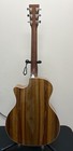 Martin Road Series Gpc-13e Sitka ziricote  Acoustic electric Guitar With Case