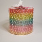 Brand New - Giant Slinky Rainbow 5  Plastic Walking Spring Toy - Just Play 2024
