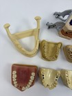 Lot Of 13 Dental Oddity Plaster Tooth Teeth Molds Dentist Cast Impressions
