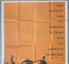 Last Summer 1969 Original Cinema Us 3 Sheet  int   Large Movie Poster 41x76 5in