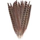 Hot Sale 20pcs Natural Pheasant Tail Feathers 8-10 Inch Long Craft Party Diy