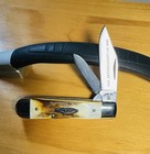 Case Xx  1980 Stag 5235 1 2 Ssp Swell End Jack  Near Mint Condition 