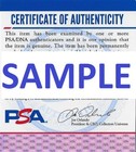 Sunny Wwf Wwe Signed Autograph Hall Of Fame Inscribed 8x10 Photo  13 W  Psa Coa