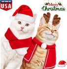 3   Christmas Pet Costume Outfit Set Santa Hat   Cloak  Scarf Small Cats Dogs Usa