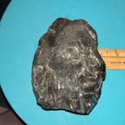 Estate Find Unidentified Rock Hematite  Display Specimen 2lbs 4oz 5x3x3-1 2   