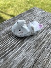 Porcelain Gray Sleeping Sugar Glazed Kitten With Pink Flower