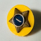 Lot Of 2 Small Enamel Pins - Cub Scout Service Star - American Legion Member