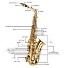 Professional Alto Eb Saxophone Sax Gold W  Case Mouthpiece   Accessories