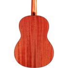 Cordoba C5 Left-handed Nylon-string Classical Acoustic Guitar