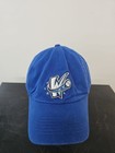Vintage Fort Wayne Wizards Fitted Hat Cap Size L Minor League Baseball Milb 