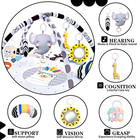 Baby Gym Play Mat  8-in-1 Tummy Time Mat   Activity Gym  Washable Ball Pit  Infa