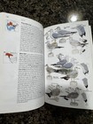 National Geographic Field Guide Birds Of North America 4th Ed Range Maps