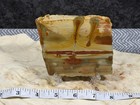 Owyhee  War Paint Jasper Slab  Lot 226