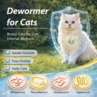Liquid Dewormer For Cats   Kittens  Treat Tapeworms  Roundworms   Hookworms - 4 