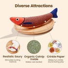 3pcs Realistic Interactive Fish Cat Kicker Crazy Pet Toy Catnip Toys Chew Toy
