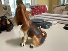 Bassett Hound With American Insurance Sign