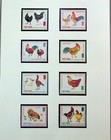 North Vietnam Sc 484-91 Nh Perf imperf Sets Of 1968 - Domestic Birds -  cj25 