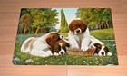 2 -1910 s Saint Bernard Postcards - Unused From E l Theochrom