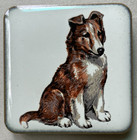 Lot Of 6 Vintage Ceramic   Metal Collie   Shetland Sheepdog Sheltie Magnets Look