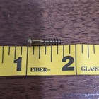 Vtg Brass Round Head Wood Screws  6 X 3 4   12pk  Nos