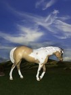 Ooak Breyer Cm Custom Stablemate Horse Indian Pony  palomino Pinto    pretty   