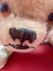 Antique Steiff Dog  Mohair King Charles Spaniel Pekinese 1890-1920