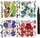 110  Pcs Dried Flowers Leaves For Crafts  Real Pressed Flowers Dry Leaves For   