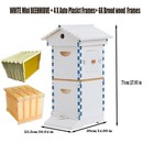 Beekeeping Box Beehive Mini House 10x Auto Run Honey Comb Hive Frame Brood Frame