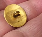 Victorian Era - Brass And Enamel Shank Button