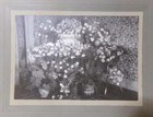 Victorian Era Mother Coffin Casket Funeral Photograph