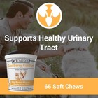 Vet Classics Cranberry Comfort Urinary Tract For Dogs   Cats  Cranberry Relief