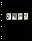  2 90 Scott Value - 1996 Swaziland Trees Southern Africa Eswatini Cv Mnh Nh Um