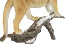 Realistic Cougar Big Cat Resin Figurine Statue 10 25 h