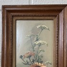 S 2 Vintage Framed Floral Prints  Wood Frame  Traditional Flower Art  Multicolor