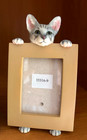 Lot Of 3 E s Cats Picture Frames Gray Orange  Black white Tuxedo 3 5 x2 5  Photo