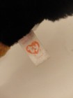 Ty Beanie Baby Classic Roscoe The Brown Dog 6  Tall Near Mint With Tush Tag Only