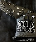 Brand New Scotty Cameron Gallery Blade Crown Headcover Custom Shop Gray Golf