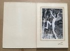 Rare 1950s George Fulmer 5x7 B w Photo Vtg Nude Female Model Posed In Nature Coa