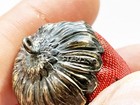 Antique Victorian Sewing Strawberry Emery With Fancy Sterling Silver Top