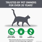 Cat Flea And Tick Treatment- Frontline Plus For Cats   Kitten 8 Weeks   6 Doses