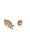 Vintage Tan Pig sow Miniature Porcelain Figurines Set Of 2 Each 2 