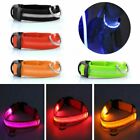 Usb Rechargeable Led Dog Pet Light Up Safety Collar Night Glow Adjustable Bright