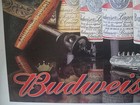 Budweiser  bottle Design Progression  Since 1876 - Vintage Us-made Tin Sign New