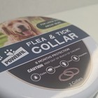 8 Month Flea   Tick Collar For Large Dogs 18  Lbs 2 Pack Natural Us Seller