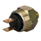 Brake Light Switch 1950-1970 Volkswagen Bus Beetle Ghia Type 3 Vw 2 Prong Brass