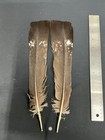 Capercaillie Pheasant Tail Feathers