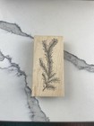 Outlines Pine Tree Branch Wood Rubber Stamp 