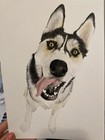 Custom Watercolor Pet Portrait Painting From Your Photo   Hand-painted On 9x12