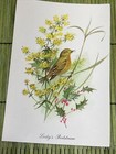 Lot Of 4 Vintage Sunshine Card Christmas Cards Birds On Plants Smash Book
